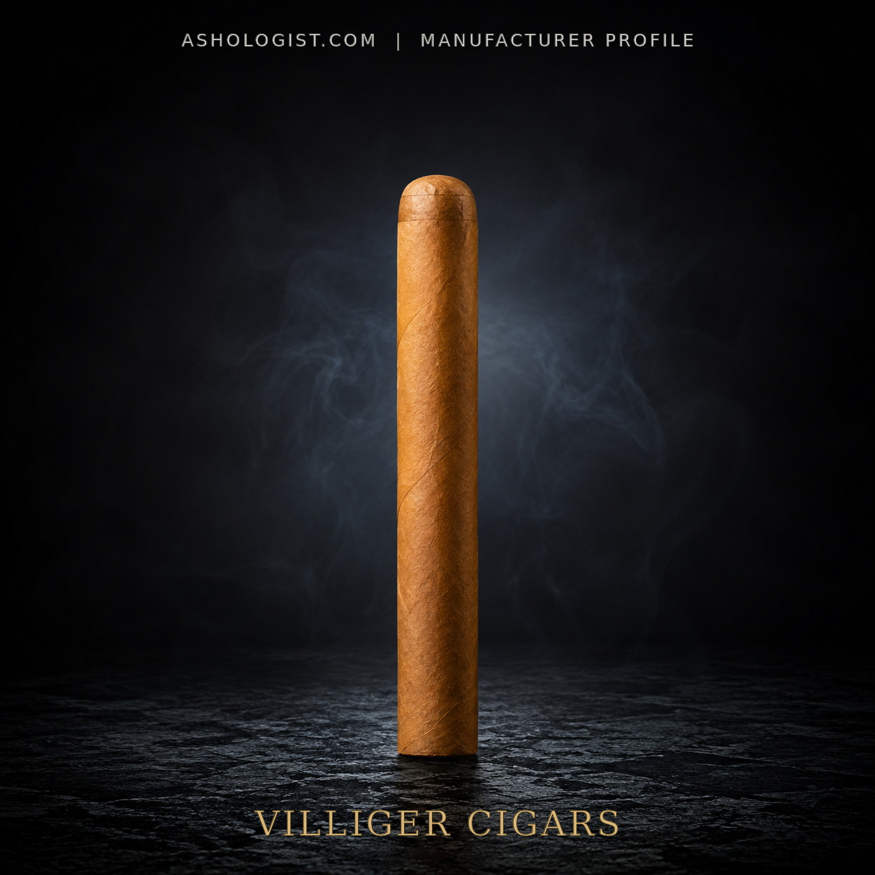 Villiger Cigars manufacturer profile photo on Ashologist.com